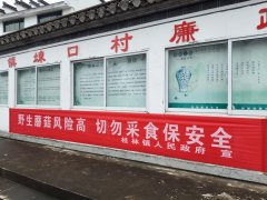 <b>连系当地常见的毒蘑菇品种特征</b>