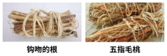 <b><b>买变质或过时食物</b></b>
